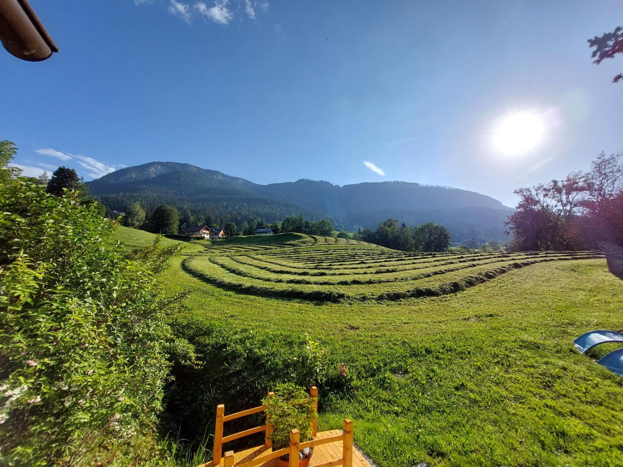 Wagnerhof Villa Pichl bei Aussee Ngoại thất bức ảnh